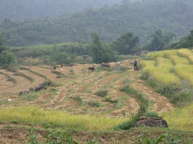 Urlaub in Vietnam 2007